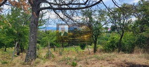 Teren generos 2186 mp cu casă bătrânească – Copăcești, județul Vrancea - imagine 10