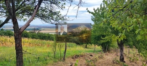 Teren generos 2186 mp cu casă bătrânească – Copăcești, județul Vrancea - imagine 9