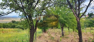 Teren generos 2186 mp cu casă bătrânească – Copăcești, județul Vrancea - imagine 6