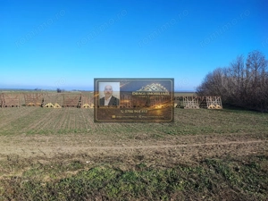 Teren 5000 mp, ieșire din Tecuci, după Peco Gălbenuș - imagine 3