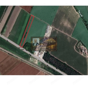 Teren 5000 mp, ieșire din Tecuci, după Peco Gălbenuș - imagine 4