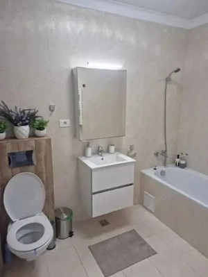De Inchiriat - Apartament 2 Camere Lux Parcul Carol - imagine 6
