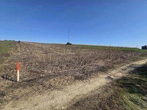 Teren Intravilan 5000mp, Cătămărești-Deal, Botoșani - imagine 2