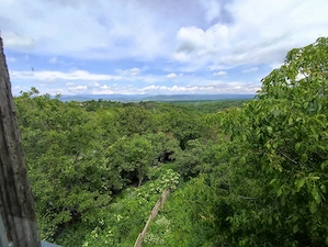 Proprietar: Vilă 480mp pe Drumul Vinului, Ideal Investiție   HoReCa