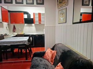 Închiriere în regim hotelier   ULTRACENTRAL LUGOJ - imagine 4