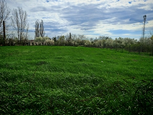 Teren Belciug 1895 mp