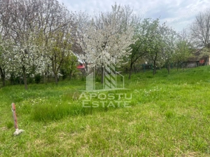 Teren de vanzare, 1001 mp, vatra veche, in Sanandrei, Timis - imagine 2