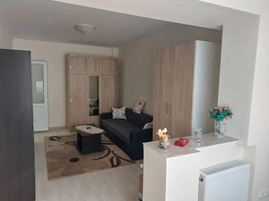 Dau in chirie apartament cu o camera zona Carpati 2 - Bd. Lucian Blaga etaj 1 - imagine 5