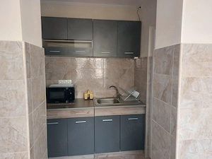 Dau in chirie apartament cu o camera zona Carpati 2 - Bd. Lucian Blaga etaj 1 - imagine 6