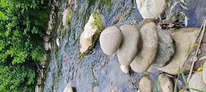 Un moment de rasfat pentru tine!