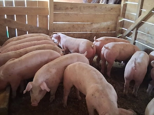 Citiţi anunţul is după sunați! - imagine 2