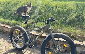 Fat Bike Cygnus 26.4