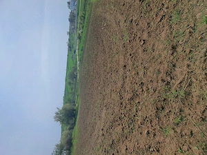 Vand teren intravilan! - imagine 3