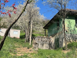 Vând proprietate în Seini: casă, teren și căsuță mobilă, cu panoramă deosebită