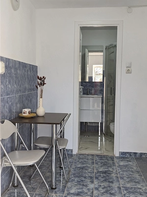Proprietar vand casa renovata , cu teren 2000 mp ,deschidere de 113 m,in comuna Farcasele,jud.Olt - imagine 7