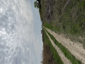 Proprietar, vând urgent teren intravilan 600 mp, lângă DJ591, Sânmihaiu Român   preț negociabil! - imagine 6