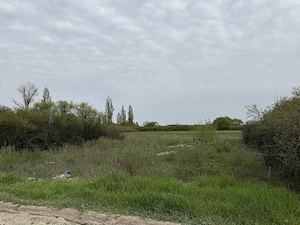 Proprietar, vând urgent teren intravilan 600 mp, lângă DJ591, Sânmihaiu Român   preț negociabil! - imagine 5