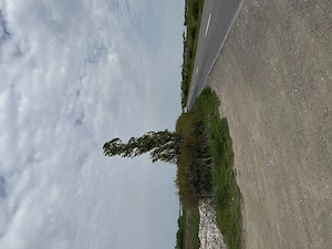 Proprietar, vând urgent teren intravilan 600 mp, lângă DJ591, Sânmihaiu Român   preț negociabil! - imagine 10