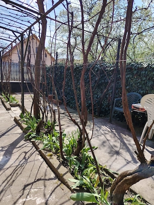 Casă de vânzare  - imagine 8