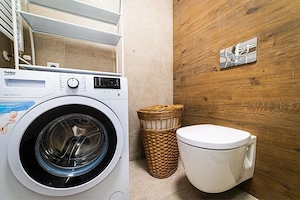 berceni dealul cucului postalionului - imagine 8