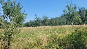 Proprietar vând 10 hectare teren extravilan - imagine 7