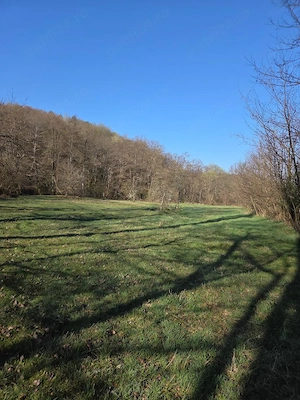 Proprietar vând 10 hectare teren extravilan - imagine 3