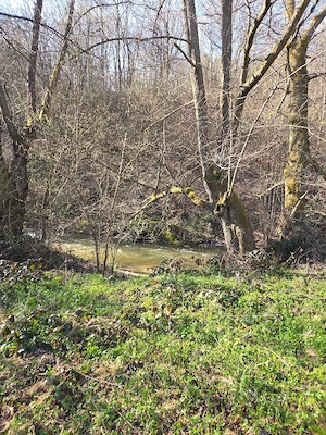 Proprietar vând 10 hectare teren extravilan - imagine 2