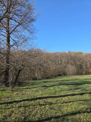 Proprietar vând 10 hectare teren extravilan - imagine 4