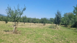 Proprietar vând 10 hectare teren extravilan - imagine 8