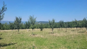 Proprietar vând 10 hectare teren extravilan - imagine 9