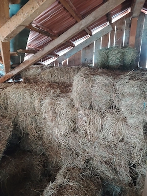  Vand baloti de fân cu lucerna - imagine 2