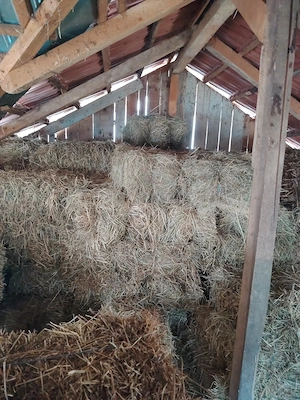  Vand baloti de fân cu lucerna - imagine 3