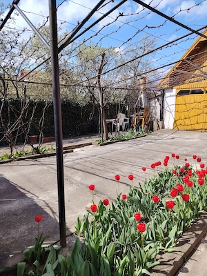 Casă de vânzare  - imagine 10