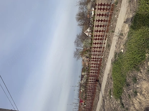 Teren intravilan com checea jud timis  - imagine 4