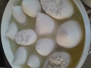 Vând brânză de capra veche și proaspătă 100% naturală 