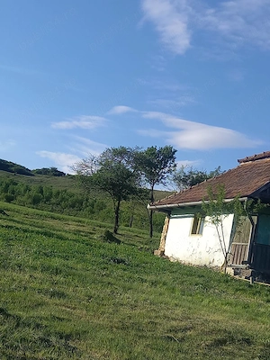casa la tara de vânzare 