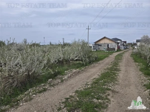 TEREN INTRAVILAN 420 mp la 20 minute  de Bucuresti - imagine 2