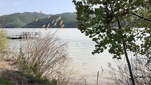 Teren pe Clisura Dunarii cu iesire directa la Dunare - imagine 5