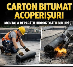 Carton bitumat acoperișuri | Montaj & reparații hidroizolații București
