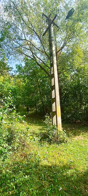 Izvoarele-Prahova-Sat-Cernesti