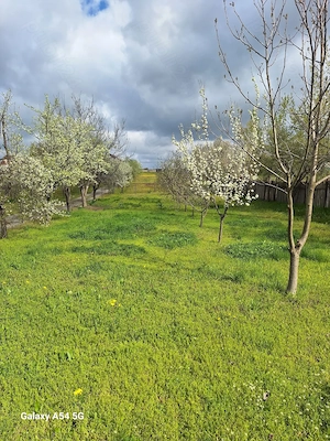 Proprietar Vand teren intravilan Craiova strada Tudor Arghezi  - imagine 2