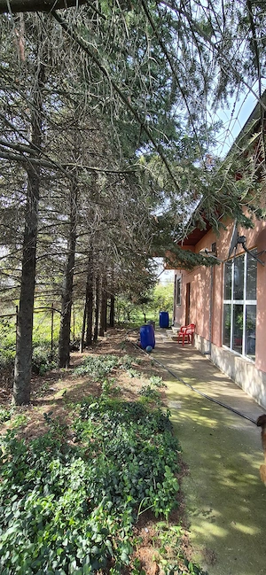 Casa Crevedia la doar 20 km de Bucuresti - imagine 5