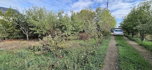 Casa Crevedia la doar 20 km de Bucuresti - imagine 2