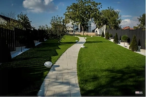 Plante Ornamentale Premium