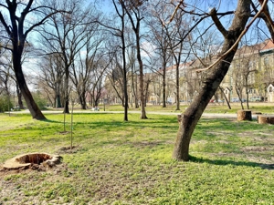 Office-3 Camere | Lift | Parcare Subterana | Central | Comision 0 - imagine 20