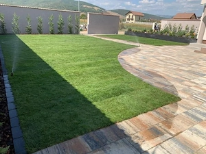 Plante Ornamentale Premium