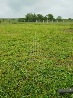 Grădină 862 mp cu cabanuta și pomi fructiferi – între Tălmaciu și Sadu - imagine 6