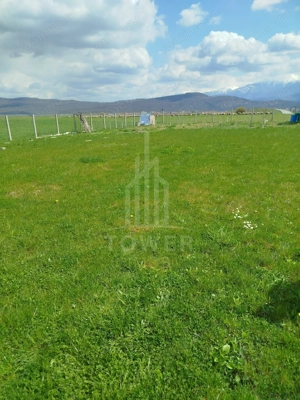 Grădină 862 mp cu cabanuta și pomi fructiferi – între Tălmaciu și Sadu - imagine 3