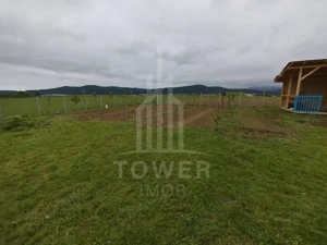 Grădină 862 mp cu cabanuta și pomi fructiferi – între Tălmaciu și Sadu - imagine 5