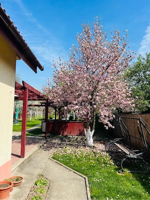 Casa in Ramnicu Valcea - imagine 2